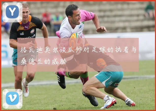 格瓦迪奥尔谈瓜帅对足球的执着与桑德兰的威胁